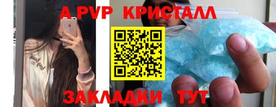 ешки Кингисепп