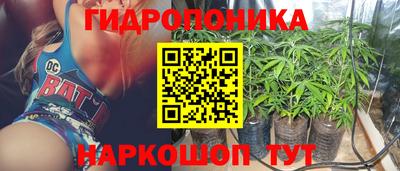 винт Будённовск