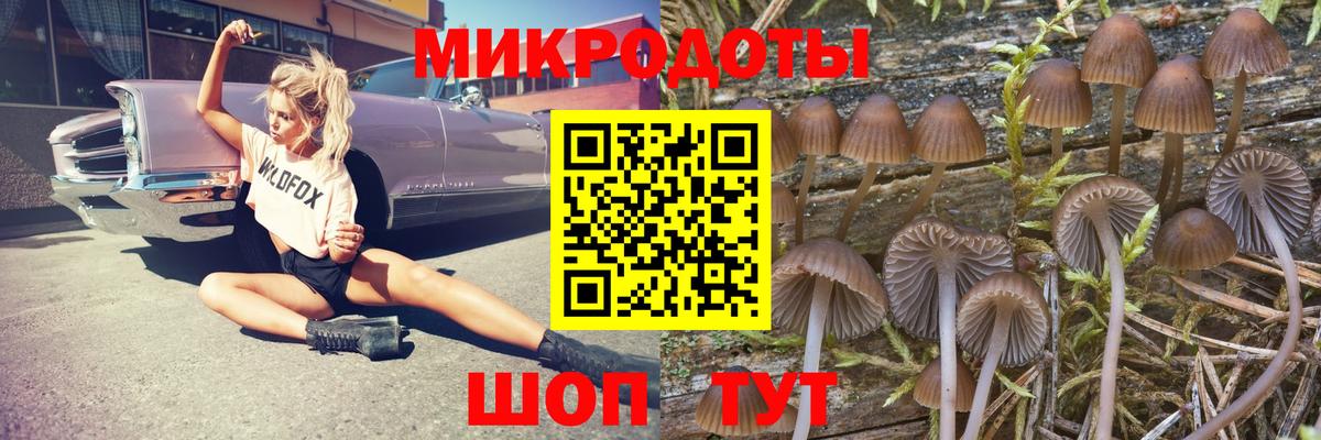 ГАШ Кыштым