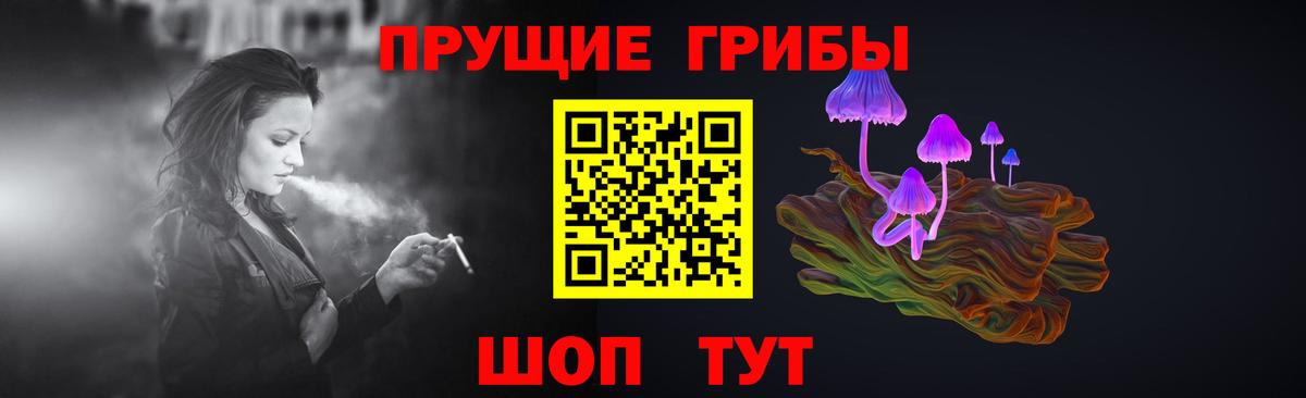 Псилоцибиновые грибы GOLDEN TEACHER  Вход с VPN  Кыштым  Галлюциногенные грибы Psilocybine cubensis 